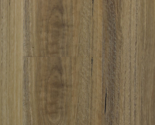 Spotted Gum