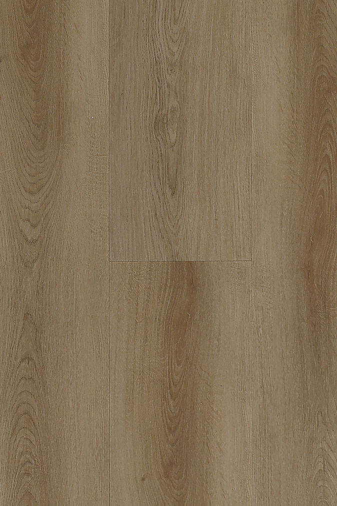 Koto Oak