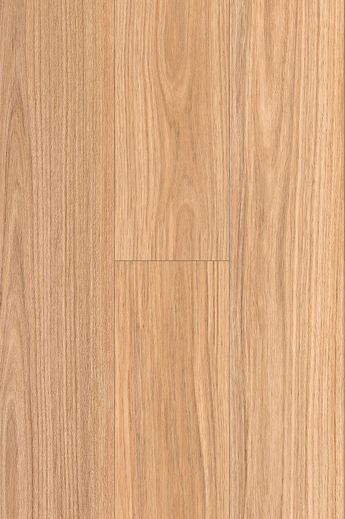 NSW Blackbutt